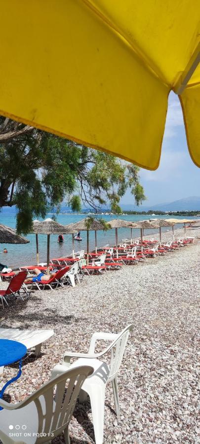 Koralli Beach Niforéika Kültér fotó