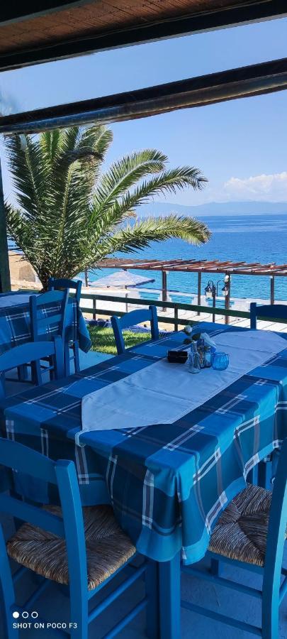 Koralli Beach Niforéika Kültér fotó