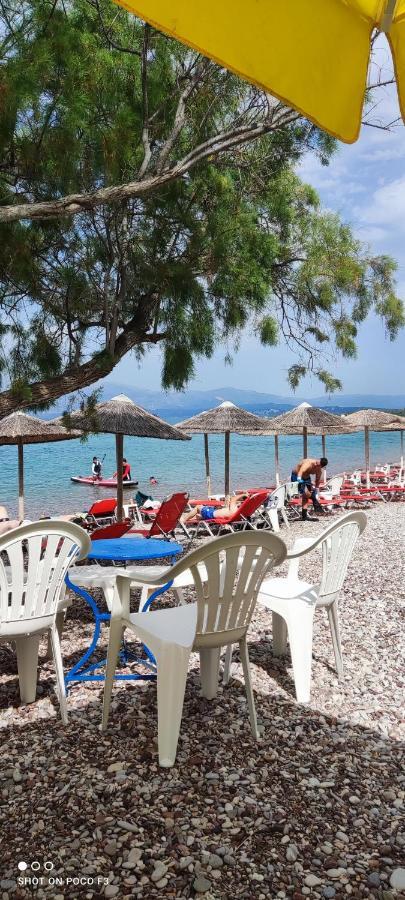 Koralli Beach Niforéika Kültér fotó